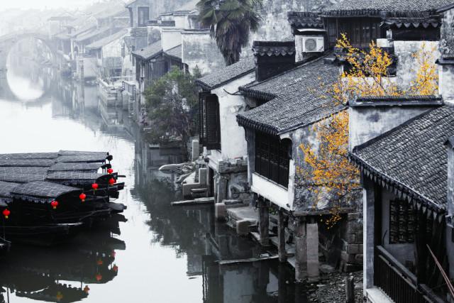 救援受困的鬃狼